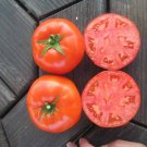 50 Seeds Mountain Merit Tomato Tomatoe Vegetable Garden Edible Canning Fresh For Garden