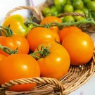 50 Seeds Mountain Gold Tomato Tomatoe Vegetable Garden Edible Canning Fresh For Garden