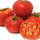 50 Seeds Momotaro Tomato Tomatoe Vegetable Garden Edible Canning Fresh For Garden