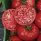 50 Seeds Marmara Tomato Tomatoe Vegetable Garden Edible Canning Fresh For Garden