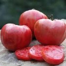 50 Seeds Mamie Browns Pink Tomato Tomatoe Vegetable Garden Edible Canning Fresh For Garden