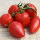 50 Seeds Mama Leone Tomato Tomatoe Vegetable Garden Edible Canning Fresh For Garden