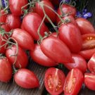 50 Seeds Maglia Rosa Tomato Tomatoe Vegetable Garden Edible Canning Fresh For Garden