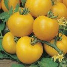 50 Seeds Lollipop Tomato Tomatoe Vegetable Garden Edible Food Fresh For Garden