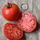 50 Seeds Legend Tomato Tomatoe Vegetable Garden Edible Food Fresh For Garden