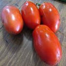 50 Seeds La Roma Iitomato Tomatoe Vegetable Garden Edible Food Fresh For Garden