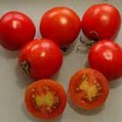 50 Seeds Kimberly Tomato Tomatoe Vegetable Garden Edible Food Fresh For Garden