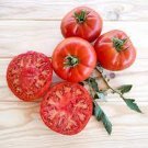 50 Seeds Kanner Hoell Tomato Tomatoe Vegetable Garden Edible Food Fresh For Garden