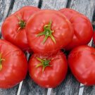 50 Seeds Jungs Wayahead Tomato Tomatoe Vegetable Garden Edible Food Fresh For Garden