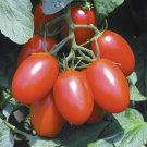 50 Seeds Juliet Tomato Tomatoe Vegetable Garden Edible Food Fresh For Garden