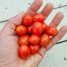 50 Seeds Jujube Cherry Tomato Tomatoe Vegetable Garden Edible Food Fresh For Garden