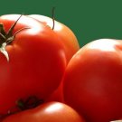 50 Seeds Joker Tomato Tomatoe Vegetable Garden Edible Food Fresh For Garden
