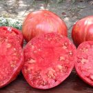 50 Seeds Jazzy Beefsteak Tomato Tomatoe Vegetable Garden Edible Food Fresh For Garden 50 Seeds Jazzy Beefsteak Tomato Tomatoe Vegetable Garden Edible Food Fresh For Garden