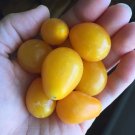 50 Seeds Ivory Pear Tomato Juicy Tomatoe Vegetable Garden Edible Food Fresh For Garden 50 Seeds Ivory Pear Tomato Juicy Tomatoe Vegetable Garden Edible Food Fresh For Garden