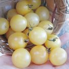 50 Seeds Italian Ice Tomato Juicy Tomatoe Vegetable Garden Edible Food Fresh For Garden