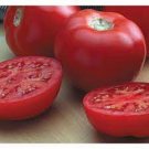 50 Seeds Italian Goliath Tomato Juicy Tomatoe Vegetable Garden Edible Food Fresh For Garden