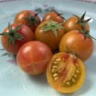 50 Seeds Isis Candy Tomato Juicy Tomatoe Vegetable Garden Edible Food Fresh For Garden