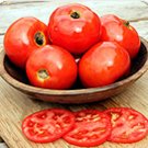 50 Seeds Iron Lady Tomato Juicy Tomatoe Vegetable Garden Edible Food Fresh For Garden 50 Seeds Iron Lady Tomato Juicy Tomatoe Vegetable Garden Edible Food Fresh For Garden