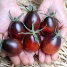 50 Seeds Indigo Ruby Tomato Juicy Tomatoe Vegetable Garden Edible Food Fresh For Garden