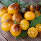 50 Seeds Indigo Kumquat Tomato Juicy Tomatoe Vegetable Garden Edible Food Fresh For Garden