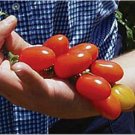 50 Seeds Hybrix Tomato Juicy Tomatoe Vegetable Garden Edible Food Fresh For Garden