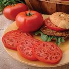 50 Seeds Hybrid Beef 9904 Tomato Juicy Tomatoe Vegetable Garden Edible Food Fresh For Garden