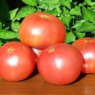 50 Seeds Hky Pink Tomato Juicy Tomatoe Vegetable Garden Edible Food Fresh For Garden