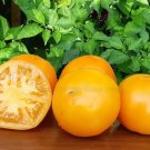 50 Seeds Hky Gold Tomato Juicy Tomatoe Vegetable Garden Edible Food Fresh For Garden