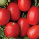 50 Seeds Huichol Tomato Juicy Tomatoe Vegetable Garden Edible Food Fresh For Garden