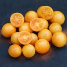 50 Seeds Honey Drop Tomato Juicy Tomatoe Vegetable Garden Edible Food Fresh For Garden