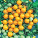 50 Seeds Honey Bunch Yellow Tomato Juicy Tomatoe Vegetable Garden Edible Food Fresh For Garden