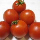 50 Seeds High Carotene Tomato Juicy Tomatoe Vegetable Garden Edible Food Fresh For Garden