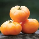 50 Seeds Heirloom Orange Tomato Juicy Tomatoe Vegetable Garden Edible Food Fresh For Garden