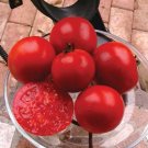 50 Seeds Heinz 1370 Tomato Juicy Tomatoe Vegetable Garden Edible Food Fresh For Garden