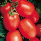 50 Seeds Health Kick Tomato Juicy Tomatoe Vegetable Garden Edible Food Fresh For Garden