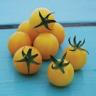50 Seeds Yellow Gooseberry Tomato Juicy Tomatoe Vegetable Garden Edible Food Fresh For Garden