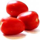 50 Seeds Hard Rock Tomato Juicy Tomatoe Vegetable Garden Edible Food Fresh For Garden 50 Seeds Hard Rock Tomato Juicy Tomatoe Vegetable Garden Edible Food Fresh For Garden
