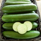 25 Seeds Tyria Cucumbers Planting Edible Food Canning Pickling Fresh For Garden