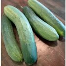 25 Seeds Thunderbird Cucumbers Planting Edible Food Canning Pickling Fresh For Garden