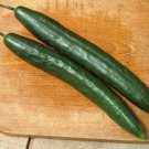 25 Seeds Taur Cucumbers Planting Edible Food Canning Pickling Fresh For Garden