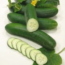 25 Seeds Swing Cucumbers Planting Edible Food Canning Pickling Fresh For Garden