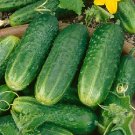 25 Seeds Sweeter Yet Cucumbers Planting Edible Food Canning Pickling Fresh For Garden