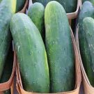 25 Seeds Speedway Cucumbers Planting Edible Food Canning Pickling Fresh For Garden