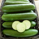 25 Seeds Socrates Cucumbers Planting Edible Food Canning Pickling Fresh For Garden