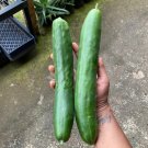 25 Seeds Soarer Cucumbers Planting Edible Food Canning Pickling Fresh For Garden