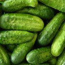 25 Seeds Slicemaster Select Cucumbers Planting Edible Food Canning Pickling Fresh For Garden