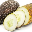 25 Seeds Sikkim Cucumbers Planting Edible Food Canning Pickling Fresh For Garden