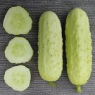 25 Seeds Salt & Pepper Cucumbers Planting Edible Food Canning Pickling Fresh For Garden