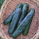 25 Seeds Rockingham Cucumbers Planting Edible Food Canning Pickling Fresh For Garden