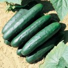 25 Seeds Raider Cucumbers Planting Edible Food Canning Pickling Fresh For Garden